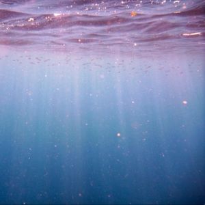 Bundle for a private discount!